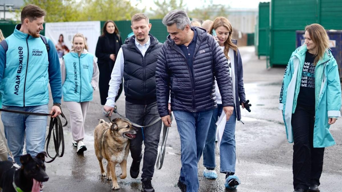 Остановить домашнее насилие, спасти животных, помочь матерям – топ-3 инициативы «Новых людей» для петербуржцев