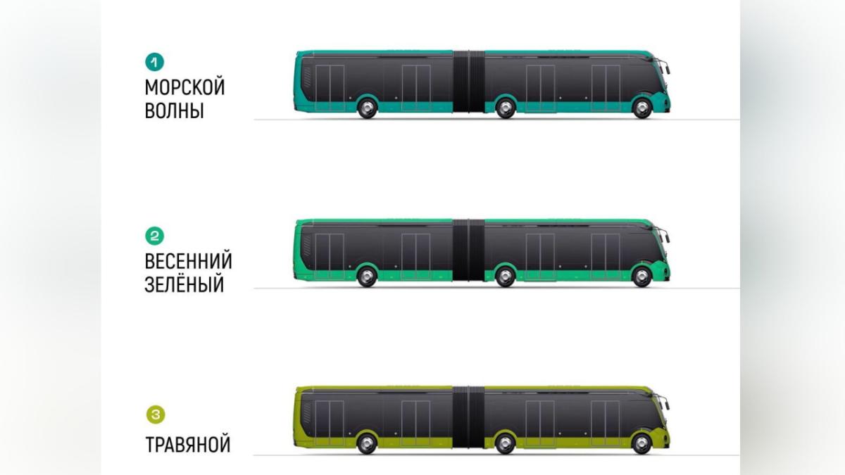 В Петербурге выбрали цвет для новых электробусов
